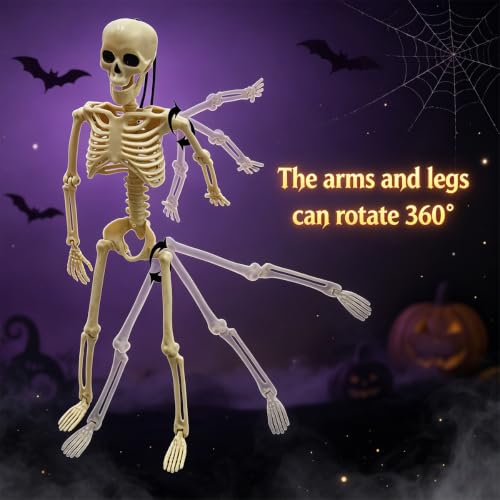 Full Body Halloween Skeleton Decorations - Movable Joints, Hanging or Standing, 16 Inch, Indoor & Outdoor Use