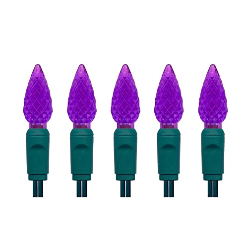 Purple C6 LED Christmas Lights String 50 Count Outdoor Garden Patio Decoration