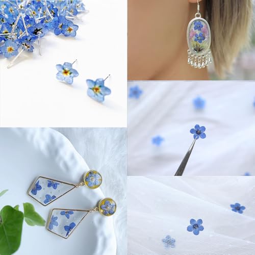 60 Pcs Natural Dried Forget Me Not Flowers for Jewelry Crafts Candle Making & Home Decor