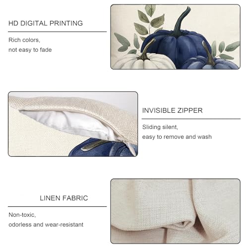 Blue Fall Pumpkin Pillow Covers Set of 2 - 18x18 Inch Autumn Decor