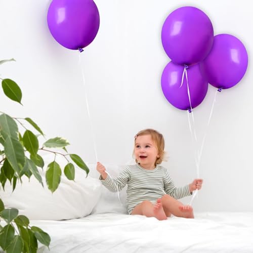 Purple Balloons 12 Inch 100pcs Thick Latex Matte Balloon Set - Purple