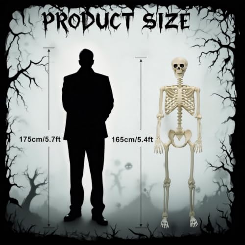 Life Size Skeleton Halloween Decoration 5.4FT - Easy to Pose & Reusable - Oceanite