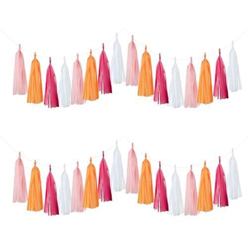20PCS Tissue Garland and Tassel Decorations for Parties and Events