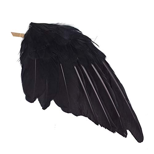 Realistic Black Feathered Crow Decor - Lifesize Halloween Props - 13in & 12in - L Variation