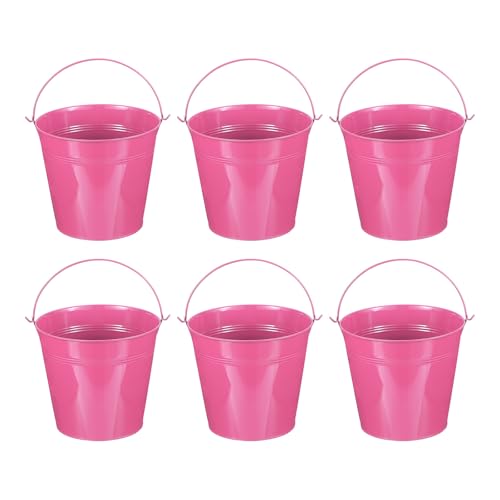 Mini Metal Buckets 7x6.2 Inch Rose Red Set of 6 Decorative Storage Containers