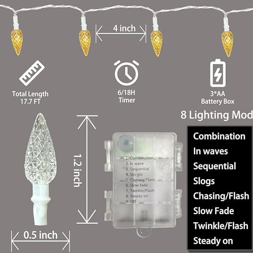 Anycosy Battery-Powered Indoor Outdoor String Lights - Warm White, 50 C3 LEDs