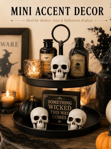 Mini Skull Halloween Decorations for Crafts & Party Decor - Set of 12