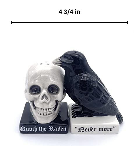 Halloween Skull and Raven Salt and Pepper Shaker Set Ceramic Gothic Decor