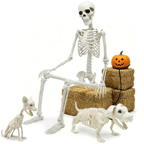 5.4ft Halloween Full Size Skeleton with Dog and Cat — Haunted Party Decor