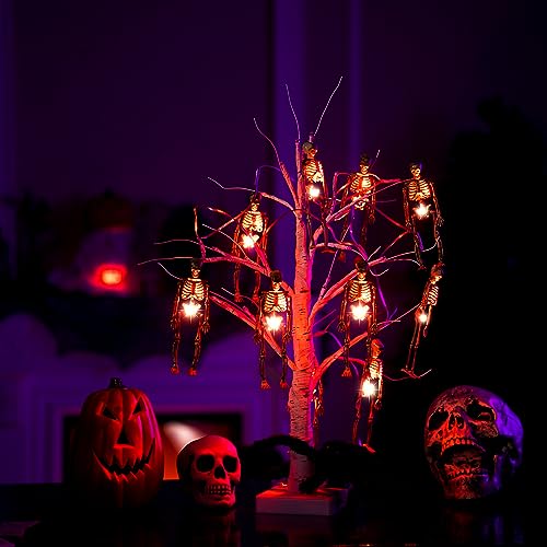 Halloween Skeleton Skull Lighted Decor 2 Pack with LEDs Waterproof Indoor Outdoor