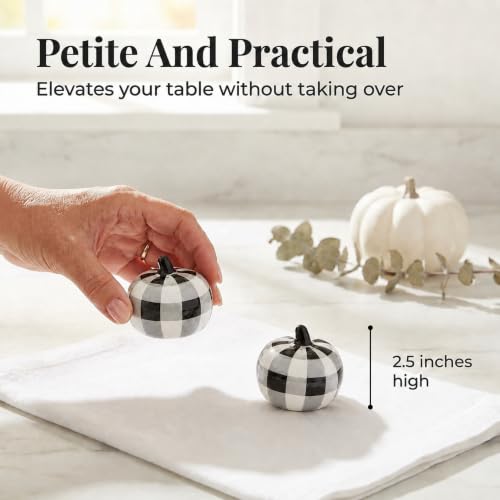 Farmhouse Pumpkin Salt & Pepper Shaker Set - Buffalo Check Pattern, 2.5 Inches