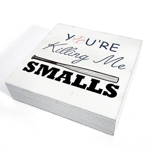 Funny Baseball Wooden Box Sign - Small Rustic Home Decor for Wall & Tabletop