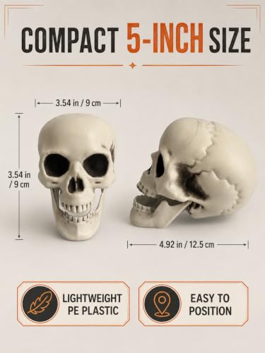 Halloween Skeleton Decor Set with 4 Plastic Skulls, Cobweb & 20 Spiders