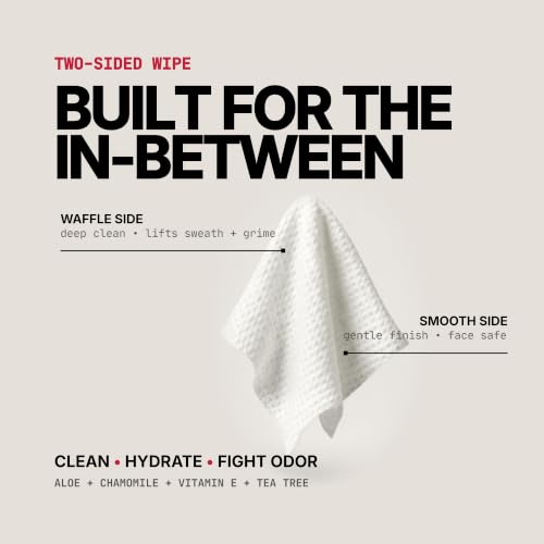 3 Pack Portable Face and Body Wipes with Tea Tree & Aloe - Post Workout Travel