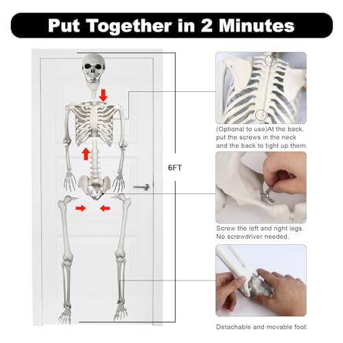 6FT Posable Skeleton Decoration for Halloween Indoor Outdoor - Weatherproof Halloween Prop