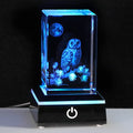 Owl Crystal Figurine with LED Light Base - 3D Laser Engraved Keepsake Gift - Variation: Owl