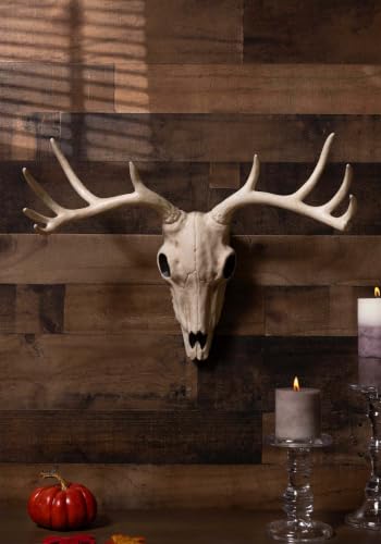Deer Skull Wall Decor - 10 Point Buck Hanging Wall Art, Rustic Home Decor Variation of Buck Skull