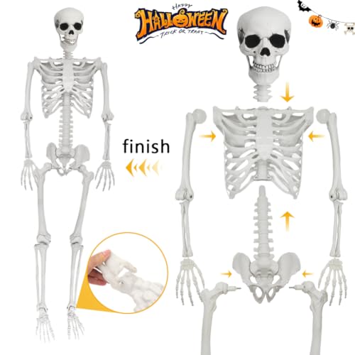 Life Size Halloween Skeleton with Movable Joints - 5.4ft & 3ft Spooky Decor Set
