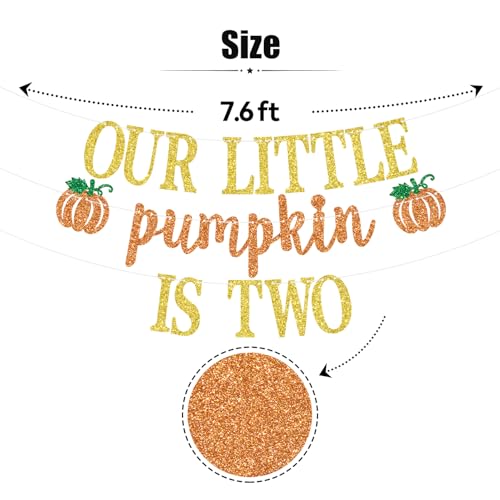 Gold Glitter Pumpkin 2nd Birthday Banner Kids Party Decorations