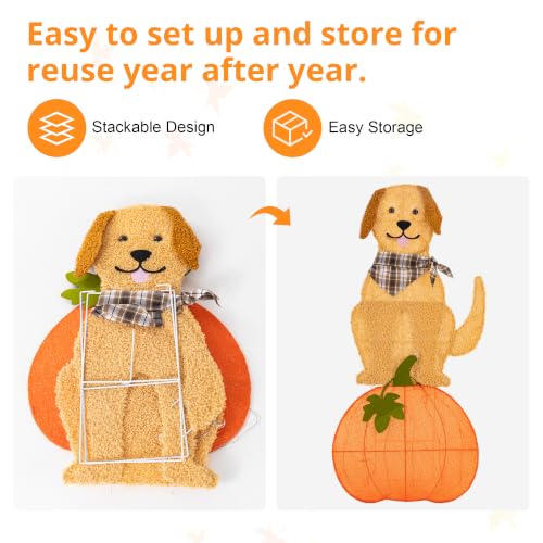 Fall Lighted Outdoor Decor with Labrador on Pumpkin - 47-inch Yard Display with Warm White LED Lights