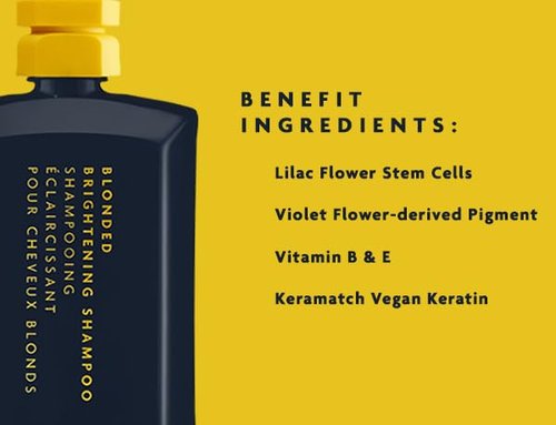 R+Co BLEU Blonded Brightening Shampoo - Neutralizes Yellow Tones & Moisturizes Color-Treated Hair | 8.5 oz