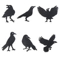 Black Crow Wall Decals - Glitter Halloween Bird Silhouette Stickers for Home & Party Decor