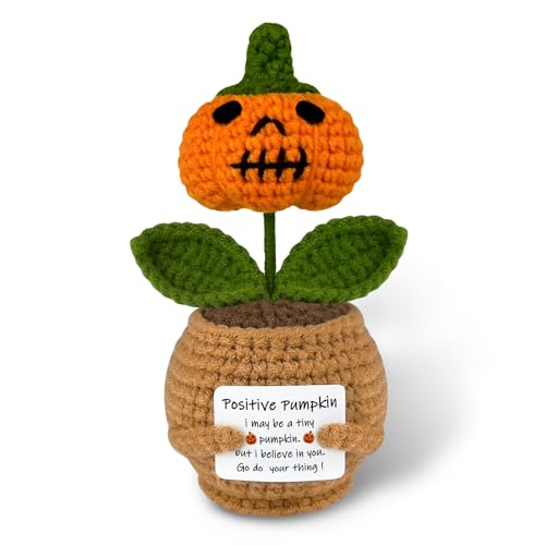 Crochet Pumpkin Planter - Funny Positive Halloween Fall Home Decor Gift
