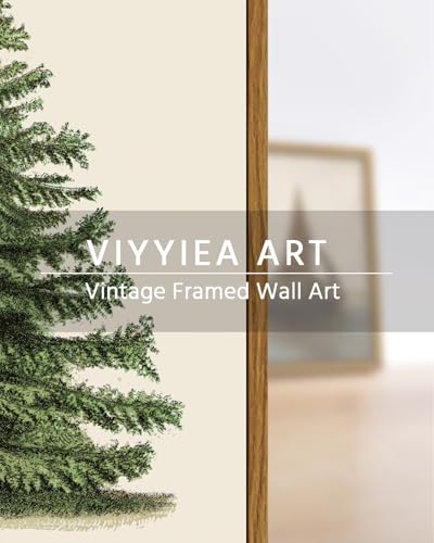 Framed Botanical Fir Pine Tree Wall Art - Winter Holiday Decor, 16x12 Inch - Variation of Fir Pine Tree / 16"L x 12"W