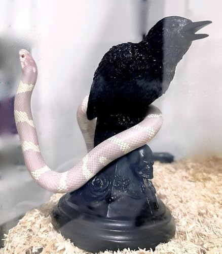 Gothic Raven Candle Holder Halloween Decoration Skull & Crow Statue