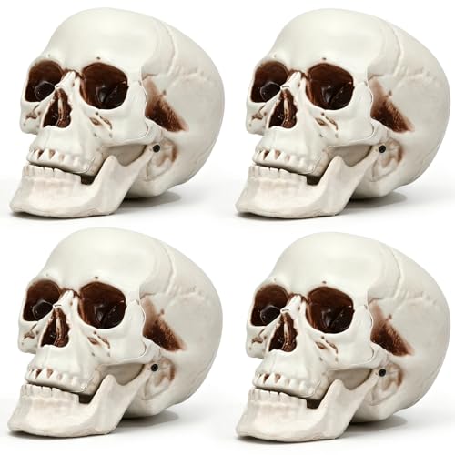 Halloween Human Skull Model - 8.7 Inch Fake Skull Decor Set of 4 - Realistic Plastic Skeletons for Spooky Parties