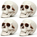 Halloween Human Skull Model - 8.7 Inch Fake Skull Decor Set of 4 - Realistic Plastic Skeletons for Spooky Parties