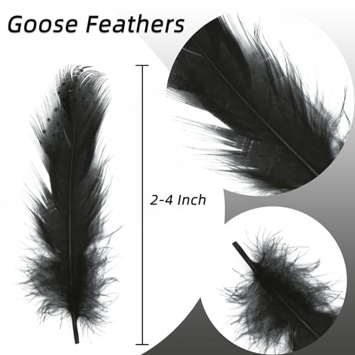 50pcs Black Pheasant Feathers for Crafts, Hats, Decorations & Costumes - Variation of THIS listing
