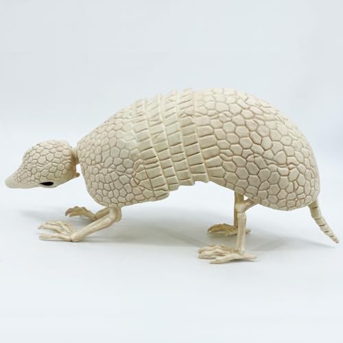 Armadillo Skeleton Halloween Decoration - Realistic Wildlife Scene, 14x4x6.25 Inches
