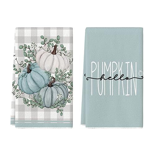 Blue Fall Pumpkins Kitchen Towels Set of 2 - 18x26 Inch Dish Cloths
