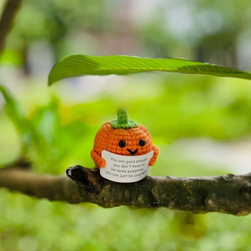 Positive Pumpkin Halloween Decoration Inspirational Gift Crochet Fall Decor with Emotional Support Card - Cute Autumn Gift Set
