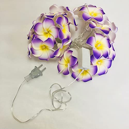 Hawaiian Plumeria String Light - Purple Foam Frangipani Fairy Lights for Garden & Wedding