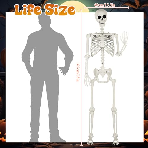 Halloween Coffin with Skeleton Set - Black, Lifelike & Collapsible