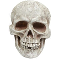 Halloween Skeleton Wall Decor - Realistic Skull Prop for Haunted House & Spooky Displays