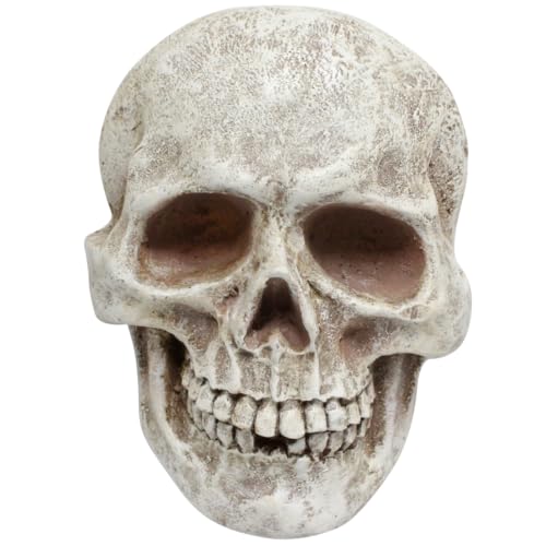 Halloween Skeleton Wall Decor - Realistic Skull Prop for Haunted House & Spooky Displays