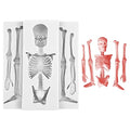 Halloween Skull Skeleton Silicone Mold for Cake Decorations and Candy