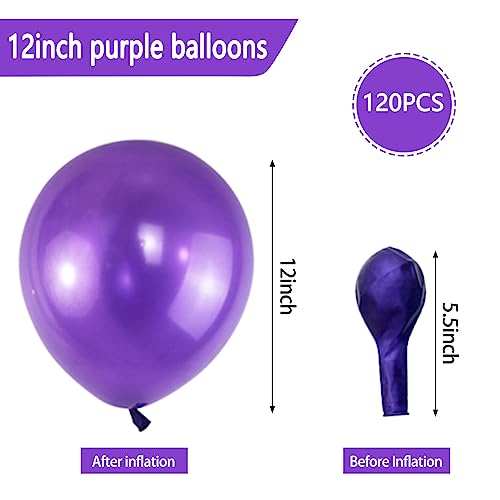 Purple Pearl Latex Balloons 12 Inch - Pack of 120 with Variation A08-Purple