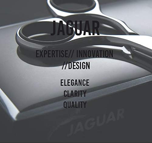 Jaguar Prestyle R1M Straight Edge Razor, Foldable Barber Razor for Men, Professional Shaving Razor with Replaceable Blade, Made in Germany, Black