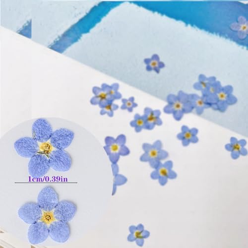 60 Pcs Natural Dried Forget Me Not Flowers for Jewelry Crafts Candle Making & Home Decor