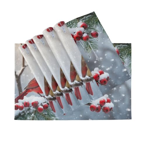Winter Birds Placemat Set of 6 - Christmas Snow Poinsettia Berry Table Mats - 12x18 Inch, Washable & Fast Dry