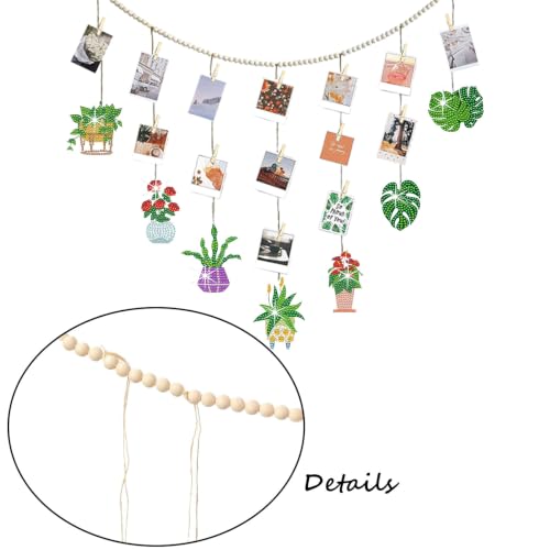 Diamond Art Photo Display with Clips - Plant Wall Decor for Adults