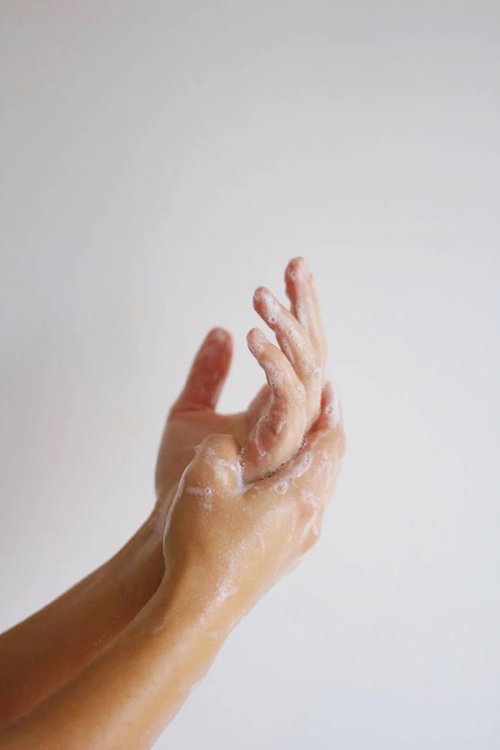 True Hue Santal Hand and Body Wash - Luxury Vegan Formula | Paraben & Sulfate Free | 16 fl oz