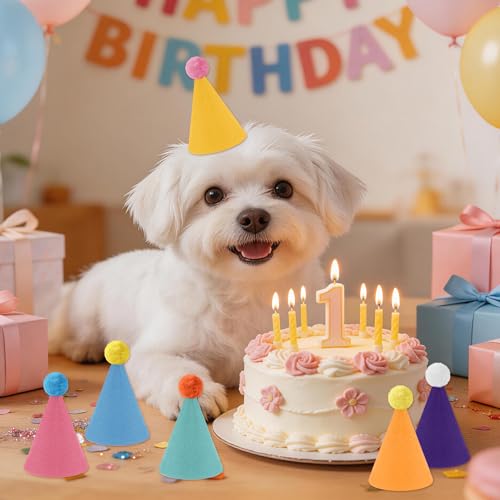 Colorful Mini Party Hats for Dolls, Pets, & Stuffed Animals - 6 Pack
