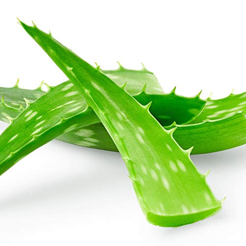 Petal Fresh Soothing Aloe Vera Makeup Remover Wipes - Gentle Face Cleansing Towelettes, 60 Count