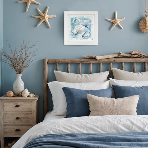 Coastal Seashell Wall Art Decor - Beach Room Wall Hanging, 7x7 Inch
