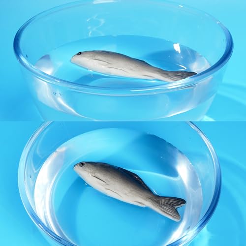 6PCS Fake Fish Artificial Seafood Decor for Kitchen & Halloween Party